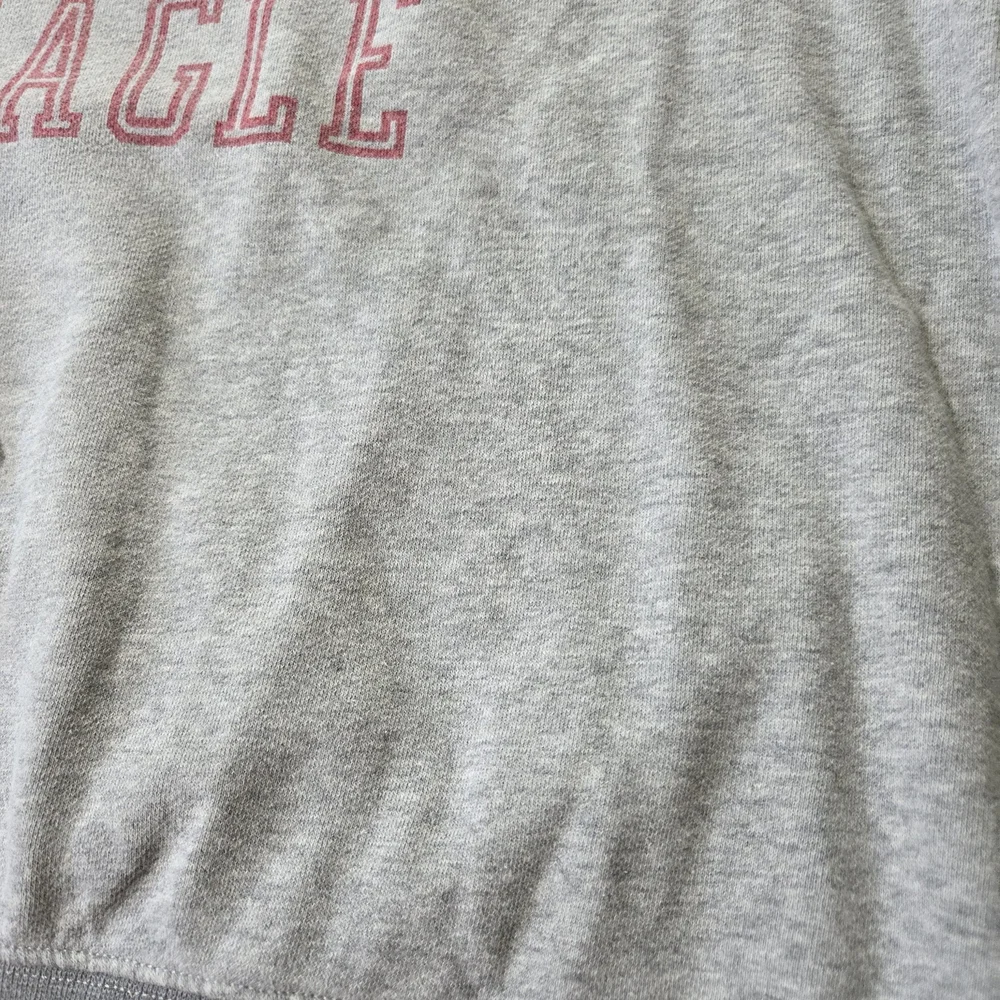 AEO Graphic Fleece Crewneck Sweatshirt Gray Pink Size XS - Picture 8 of 15